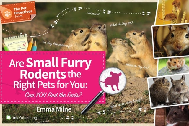 Are Small Furry Rodents the Right Pets for You: Can You Find the Facts? - Can You Find the Facts?