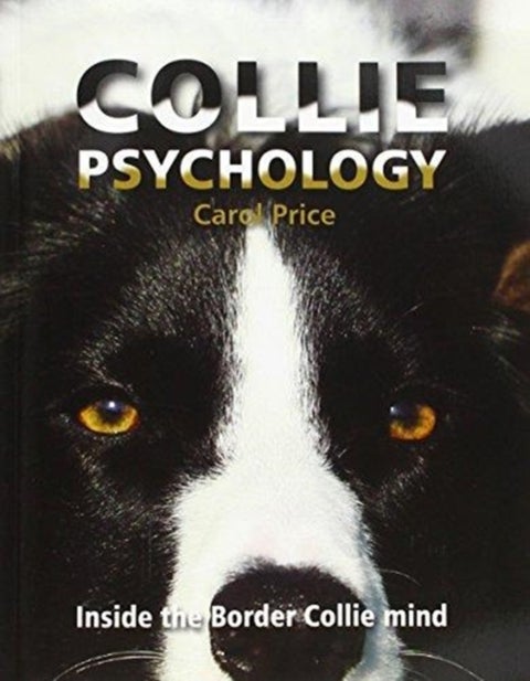 Collie Psychology - Inside The Border Collie Mind