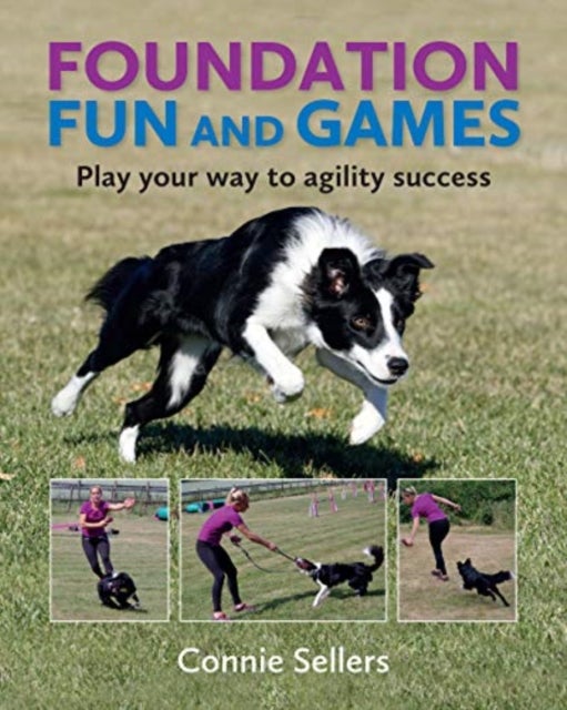 Foundation Fun And Games - Play Your Way To Agility Success