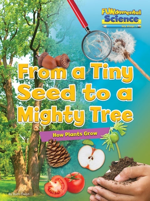 From a Tiny Seed to a Mighty Tree - How Plants Grow