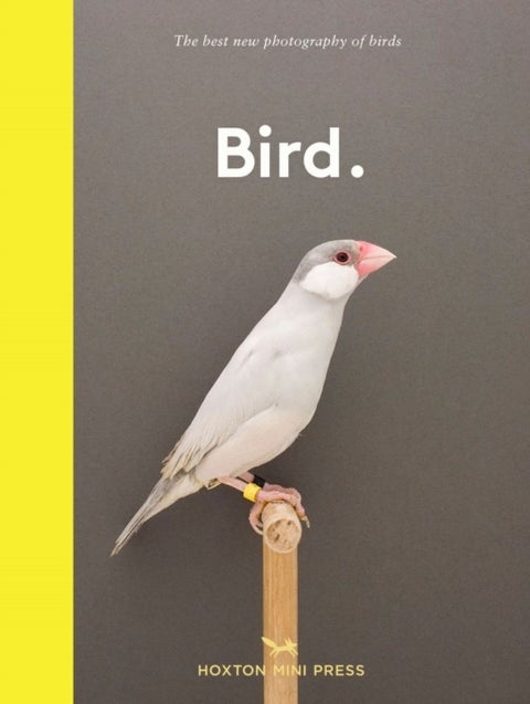Bird. - The best new photography of birds