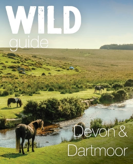 Wild Guide Devon & Dartmoor - Mini adventures, secret places & local food