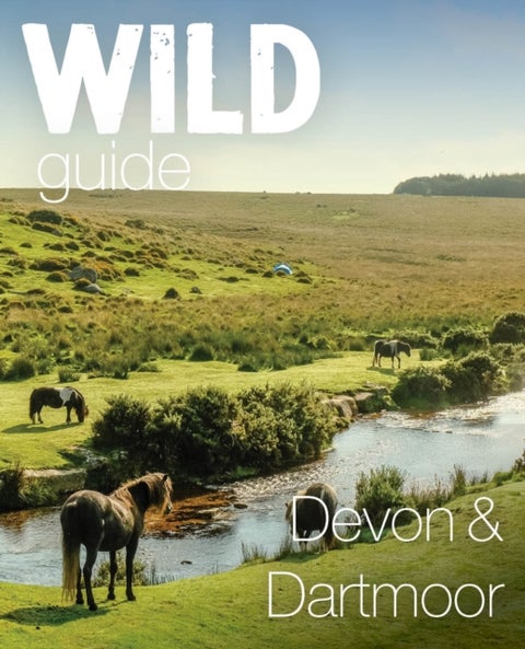 Wild Guide Devon & Dartmoor - Mini adventures, secret places & local food