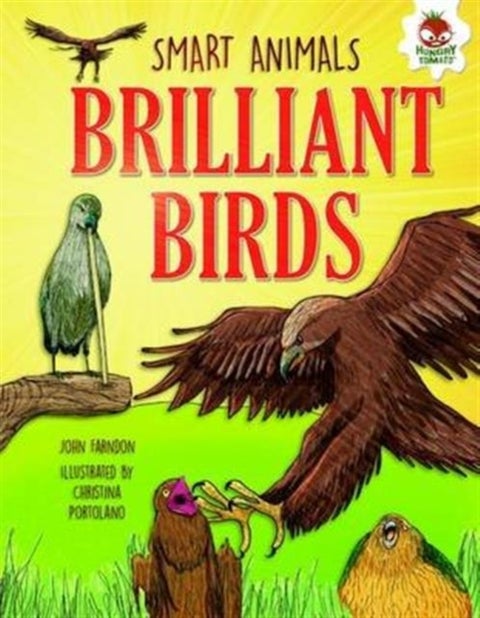 Brilliant Birds - Ace Mimics, Night Hunters and Epic Journeys