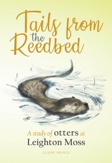 Tails from the Reedbed - A study of otters at Leighton Moss