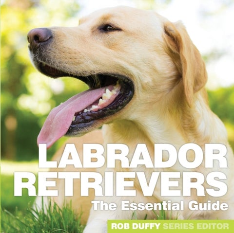 Labrador Retrievers - The Essential Guide
