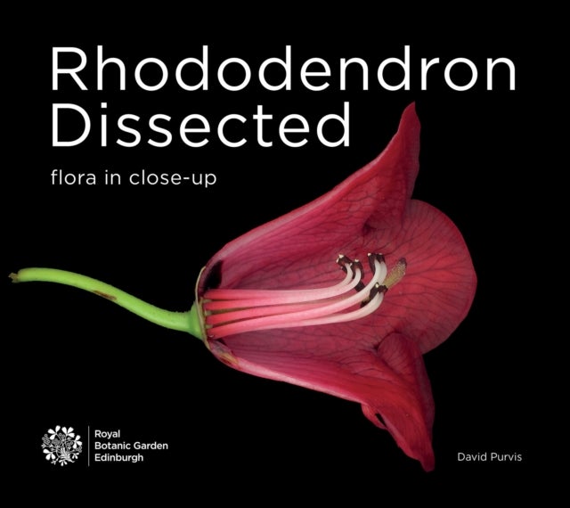 Rhododendron Dissected - Flora in Close-up