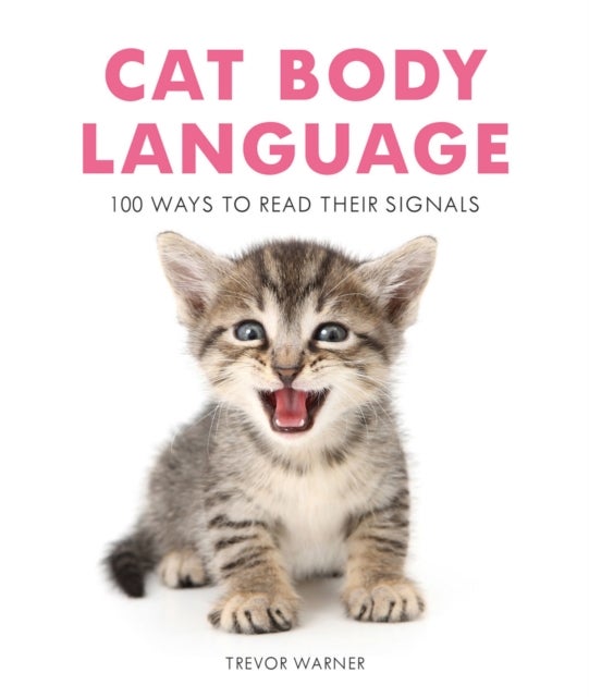 Cat Body Language - 100 Ways to Read Their Signals