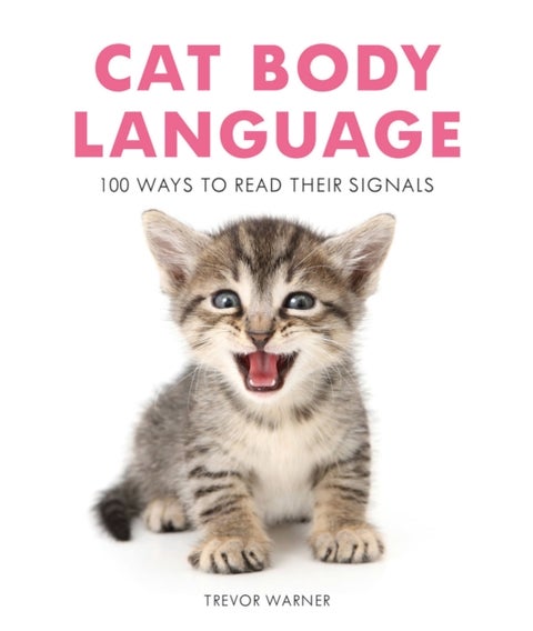 Cat Body Language - 100 Ways to Read Their Signals