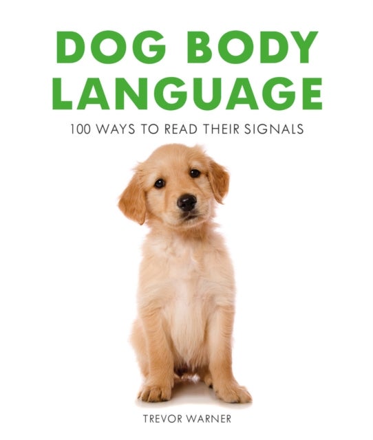 Dog Body Language - 100 Ways to Read Their Signals