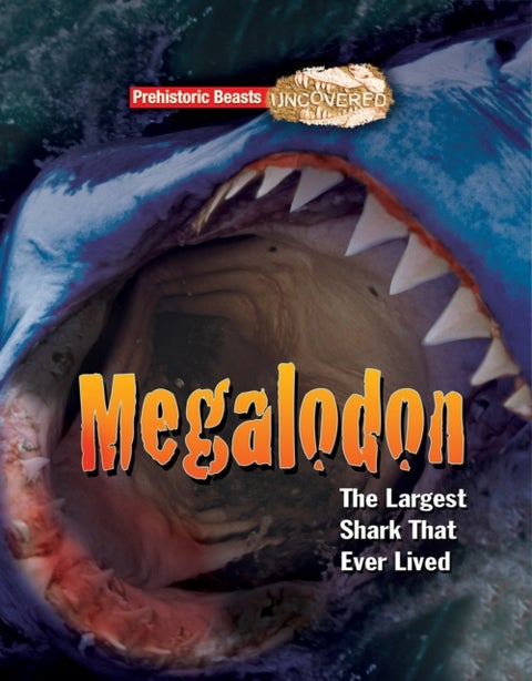 Megalodon - The Largest Shark That Ever Lived