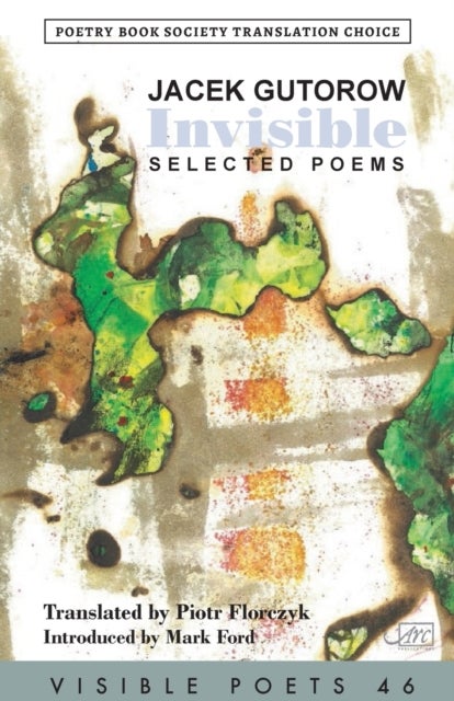 Invisible - Selected Poems
