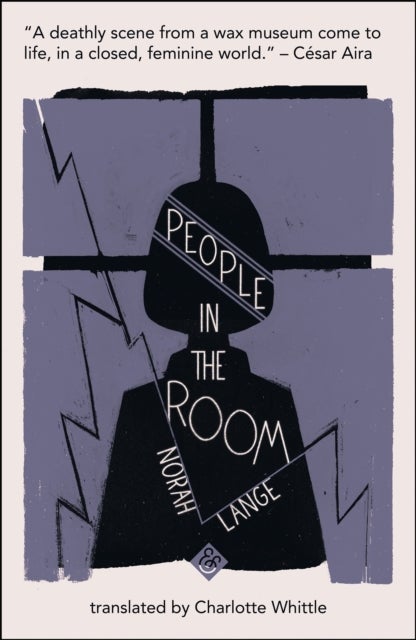People in the Room - Shortlisted for the 2019 Warwick Prize for Women in Translation