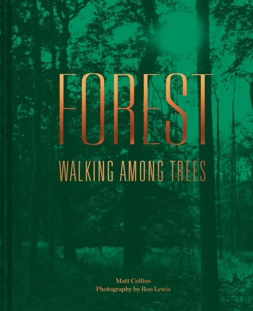 Forest - Walking among trees