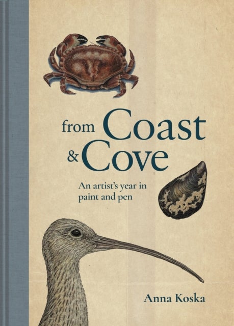 From Coast & Cove - An Artist’s Year in Paint and Pen