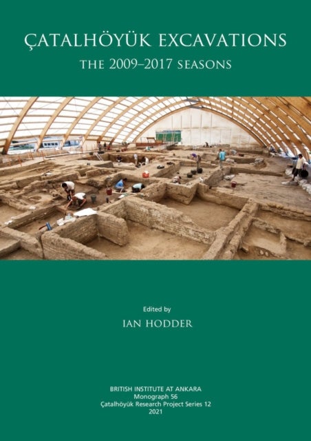 Catalhoyuk Excavations - The 2009-2017 Seasons