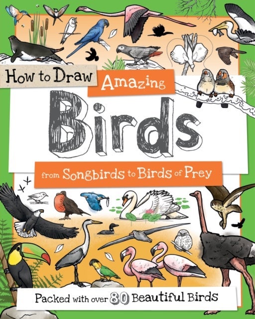 How To Draw Amazing Birds