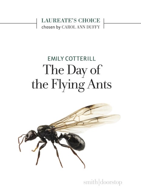 The Day of the Flying Ants - Laureate's Choice 2019 II
