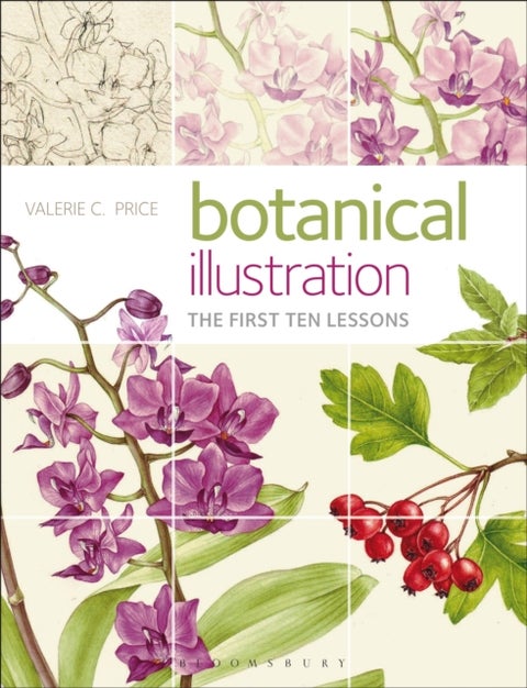 Botanical Illustration - The First Ten Lessons