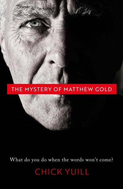 The Mystery of Matthew Gold - What do you do when the words won't come?
