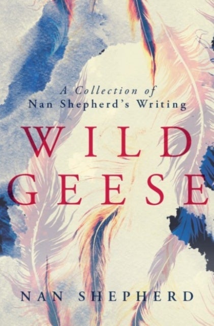 Wild Geese - A Collection of Nan Shepherd's Writings