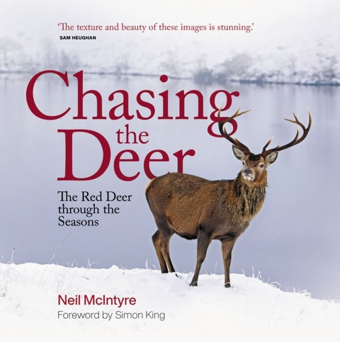Chasing the Deer - The Red Deer through the Seasons