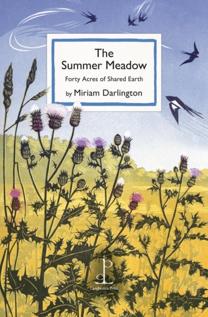 The Summer Meadow - Forty Acres of Shared Earth