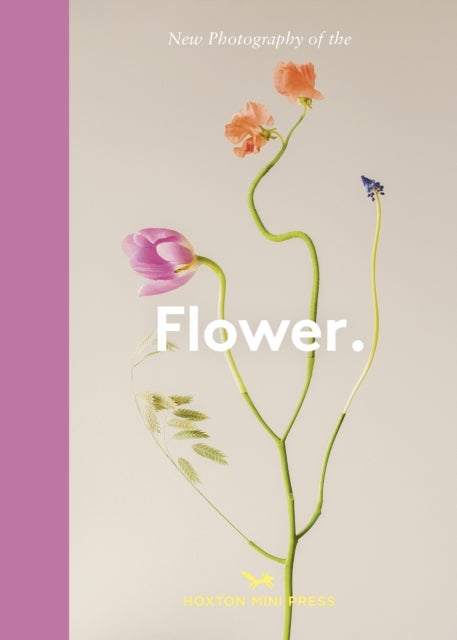 Flower. - New Photography of the