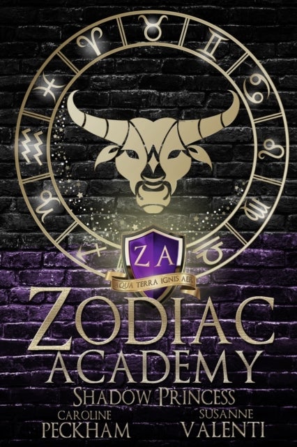 Zodiac Academy 4 - Shadow Princess