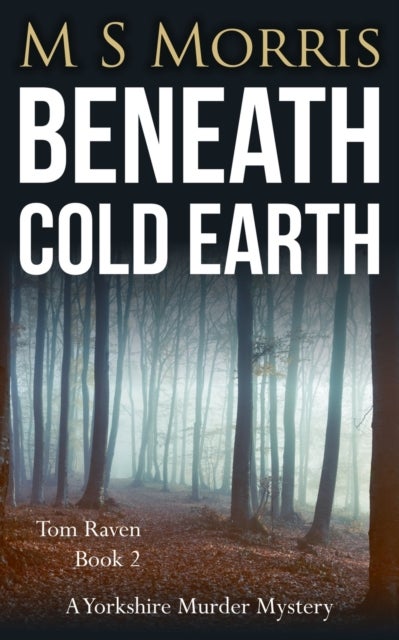 Beneath Cold Earth - A Yorkshire Murder Mystery