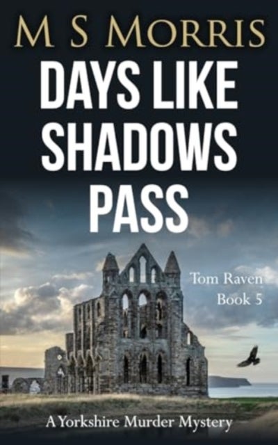 Days Like Shadows Pass - A Yorkshire Murder Mystery
