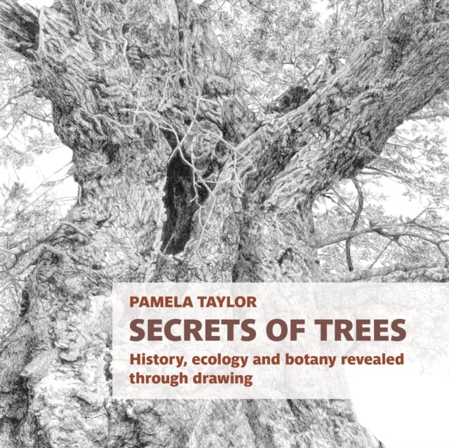 Secrets of Trees - History, ecology and botany revealed through drawing