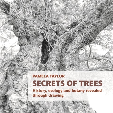Secrets of Trees - History, ecology and botany revealed through drawing