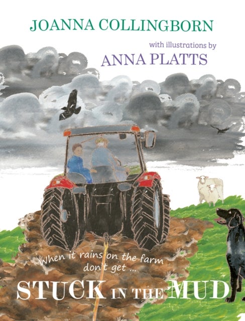 Stuck in the Mud - the brilliant award-winning adventure at Hillside Farm