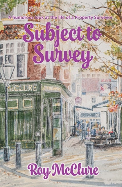 Subject to Survey - The humourous diary of a property surveyor