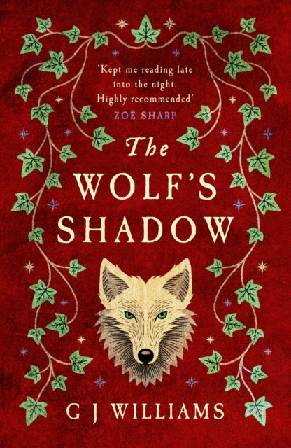 The Wolf's Shadow - 'A joy for the senses... see the smoke and grime of Tudor London' Chris Lloyd