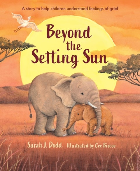 Beyond the Setting Sun - A story to help children understand feelings of grief