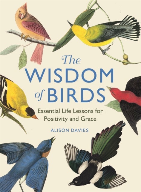 The Wisdom of Birds - Essential Life Lessons for Positivity and Grace