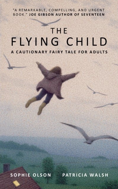 The Flying Child - A Cautionary Fairytale for Adults - Finding a purposeful life after Child Sexual Abuse through compassionate and creative therapy