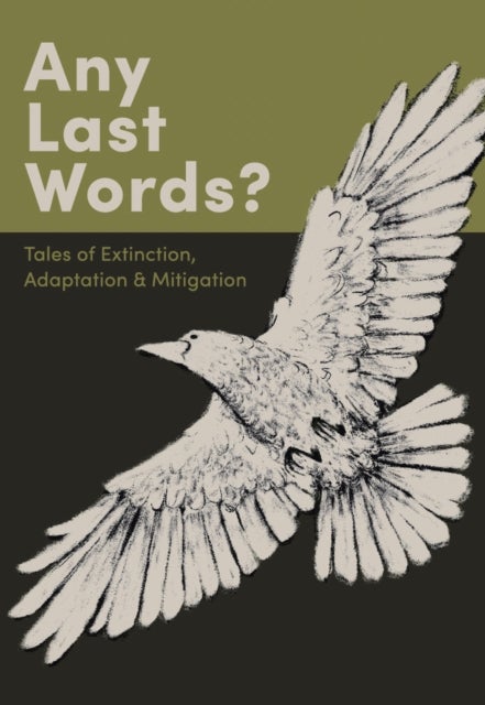 Any Last Words? - Issue #3