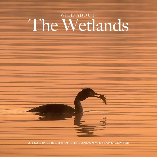 Wild about The Wetlands - A Year in the Life of The London Wetland Centre