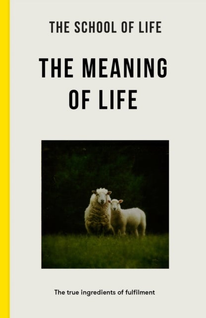 The Meaning of Life - the true ingredients of fulfilment