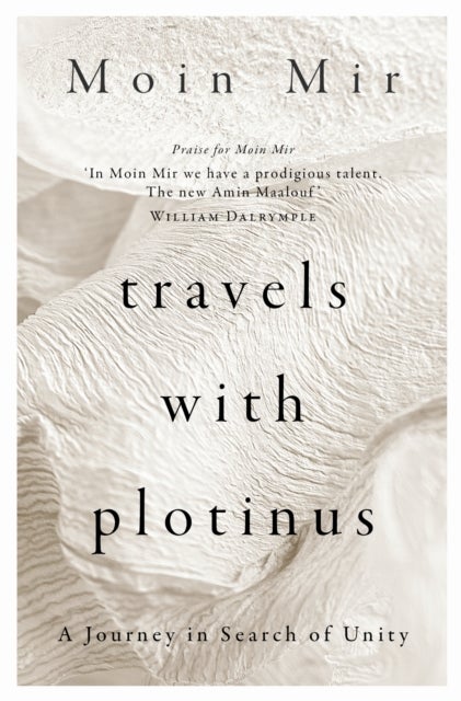 Travels with Plotinus - A Journey in Search of Unity
