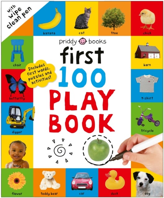First 100 Play Book - A first words wipe-clean activity book