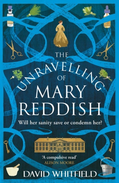 The Unravelling of Mary Reddish - a powerful historical novel about a woman unjustly committed to an asylum
