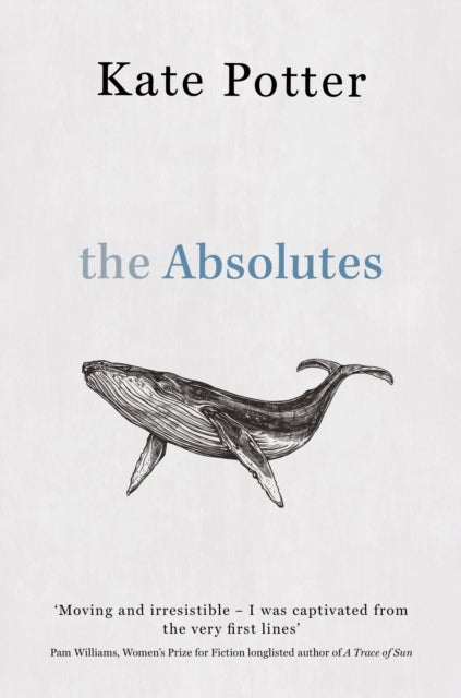 The Absolutes - a profound exploration of grief told through fragments of memory