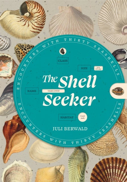 The Shell Seeker