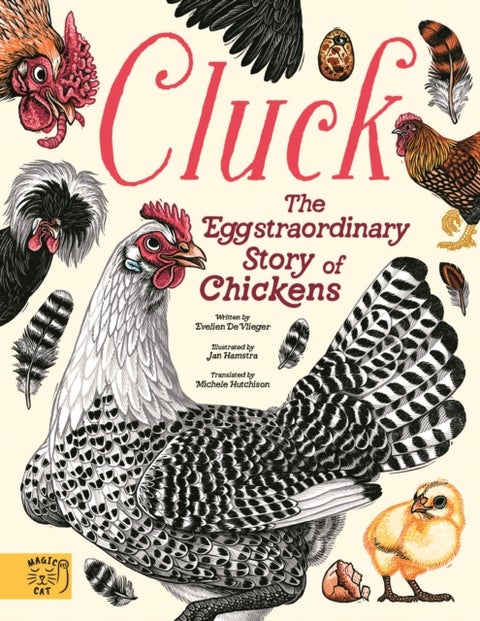 Cluck! - The Eggstraordinary Story of Chickens