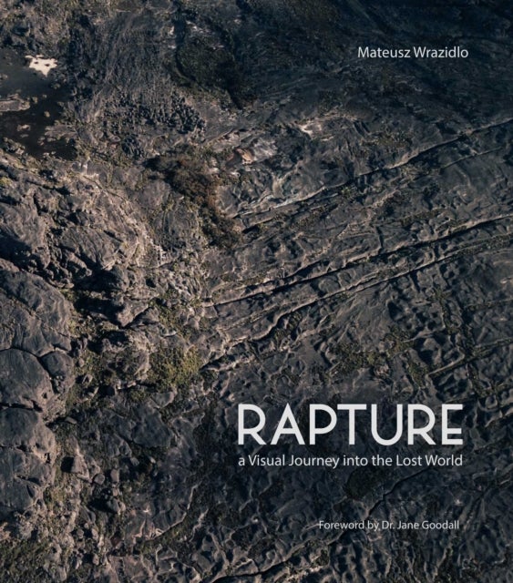 Rapture - A Journey to the Lost World