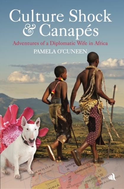 Culture Shock & Canapes - Adventures of a Diplomatic Wife in Africa
